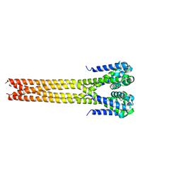 AU of 5hkt by Molmil