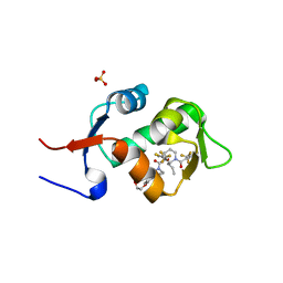 BU of 5hmi by Molmil