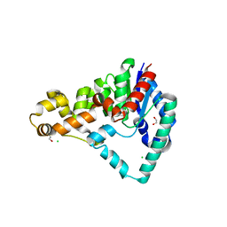 BU of 5hml by Molmil