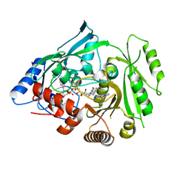 BU of 5hmr by Molmil