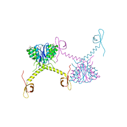 AU of 5hot by Molmil