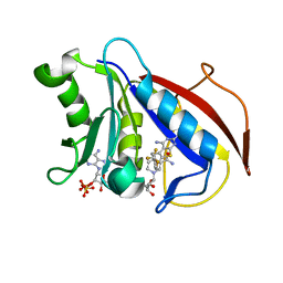 BU of 5hpb by Molmil