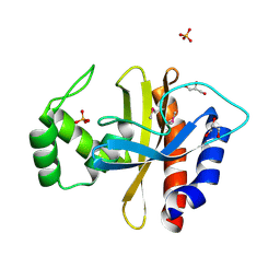 BU of 5hpf by Molmil