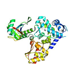 BU of 5hps by Molmil