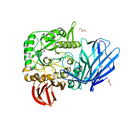 BU of 5hqb by Molmil