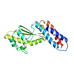 AU of 5hsb by Molmil