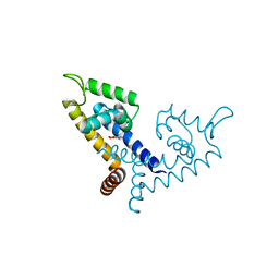 AU of 5hsl by Molmil