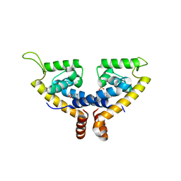 AU of 5hsn by Molmil