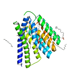 BU of 5hxs by Molmil