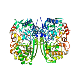 BU of 5i1v by Molmil