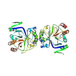 BU of 5i2c by Molmil