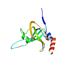 BU of 5i2x by Molmil