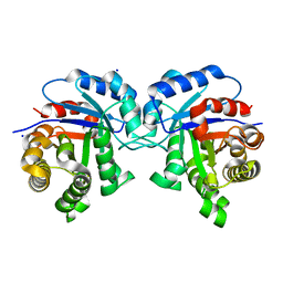 BU of 5i3j by Molmil