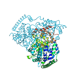 BU of 5i5g by Molmil