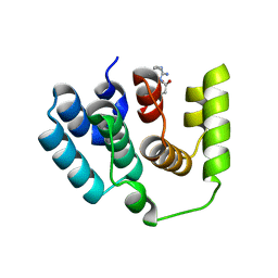 BU of 5i5o by Molmil