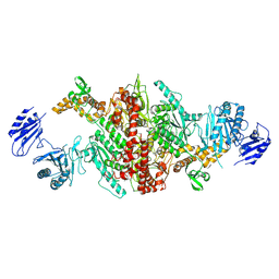 BU of 5i6f by Molmil