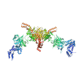 BU of 5i6i by Molmil