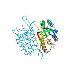 BU of 5i9b by Molmil