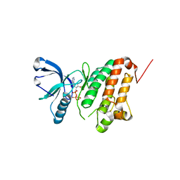 BU of 5i9v by Molmil