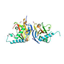 BU of 5iat by Molmil