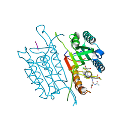 BU of 5ibc by Molmil