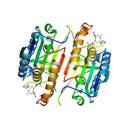 BU of 5ibr by Molmil