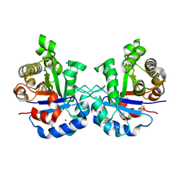 BU of 5ibx by Molmil