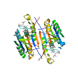 BU of 5ic4 by Molmil