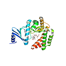 BU of 5igr by Molmil