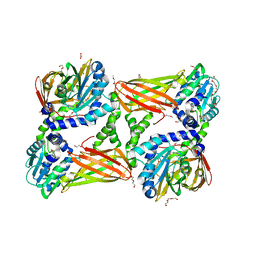 BU of 5ih3 by Molmil