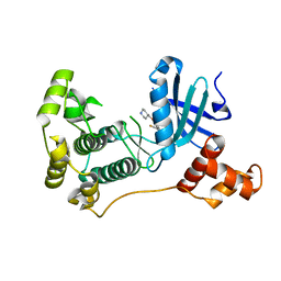 BU of 5ihc by Molmil