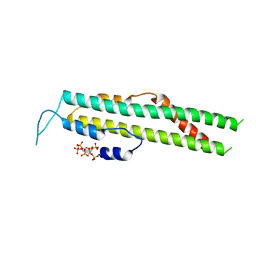 BU of 5ijp by Molmil