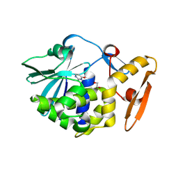 BU of 5ilx by Molmil