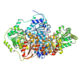 AU of 5inu by Molmil