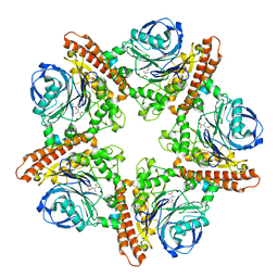 BU of 5inx by Molmil