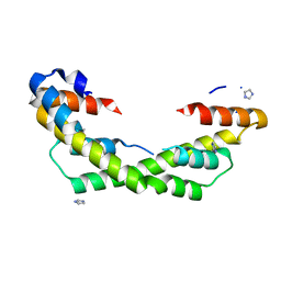 AU of 5ioe by Molmil