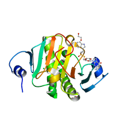 BU of 5ipc by Molmil