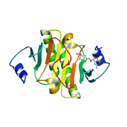 BU of 5ipd by Molmil