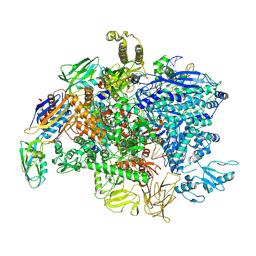 BU of 5ipn by Molmil