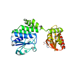 BU of 5ipp by Molmil