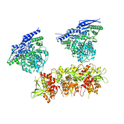 BU of 5ipq by Molmil