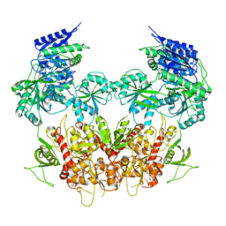 BU of 5ipv by Molmil