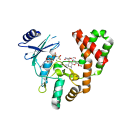 BU of 5iqb by Molmil