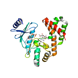 BU of 5iqc by Molmil