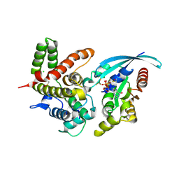 BU of 5irc by Molmil