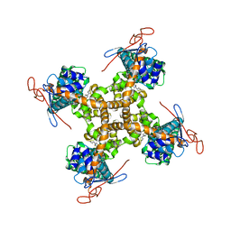 BU of 5is0 by Molmil