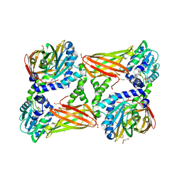 BU of 5is6 by Molmil