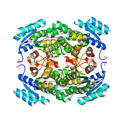 BU of 5itw by Molmil