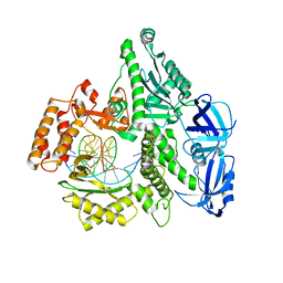 BU of 5iud by Molmil