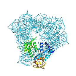 BU of 5iv0 by Molmil